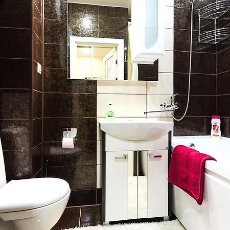 Molnar Moskowskaya 8 Apartment *